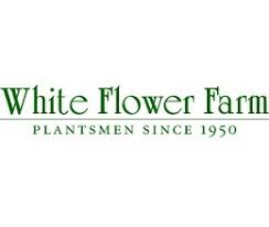 White Flower Farm Promo Codes