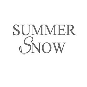 Summer Snow Art Promo Codes
