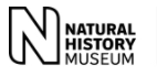 Natural History Museum online shop