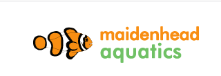 Maidenhead Aquatics