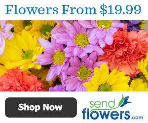 Send Flowers-Happy Valentine's Day-Cheap Flowers