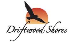 Driftwood Shores Promo Code
