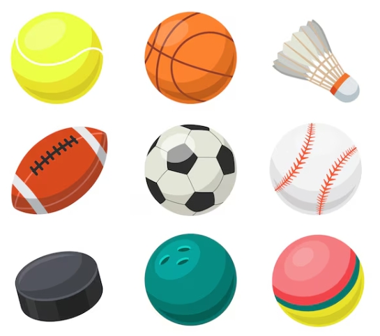 Top 20+ Sports Stores to Gear Up Your Exercise Passion