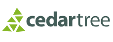 Cedar Tree