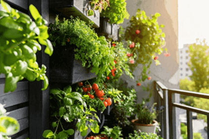 8 Balcony & Rooftop Garden Ideas for Creating a Peaceful Space