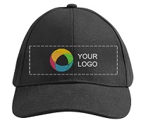 VistaPrint Embroidered Cap