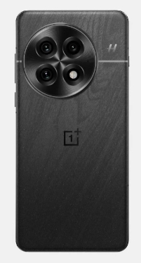 OnePlus 13