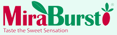 MiraBurst