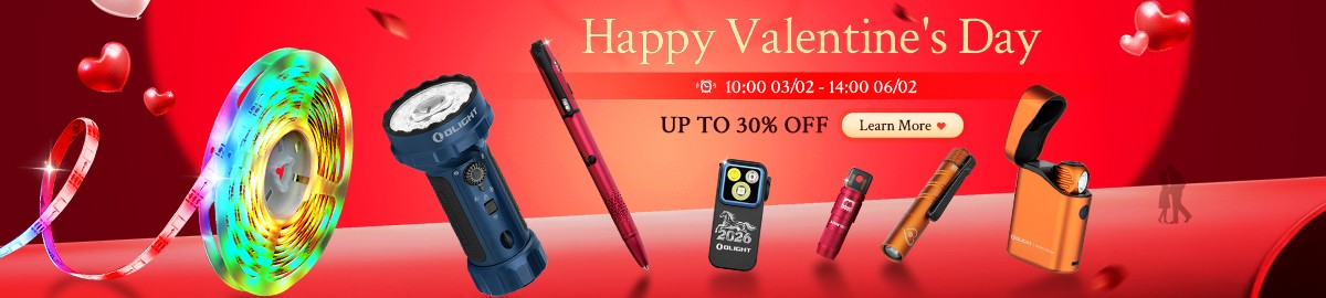 Happy valentine's day