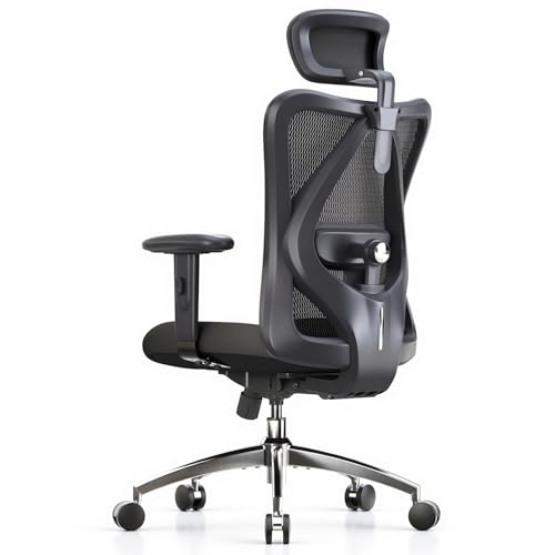 SIHOO M18 Ergonomic Office Chair, High Back Mesh Desk Chair with Adjustable Headrest & Lumbar Support, 330lbs Capacity Computer Chair with 2D Armrests & Wide Cushion, Tilt Lock, for Home Office-Black