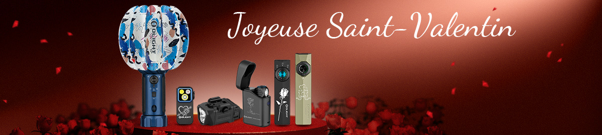 Joyeuse saint-valentin