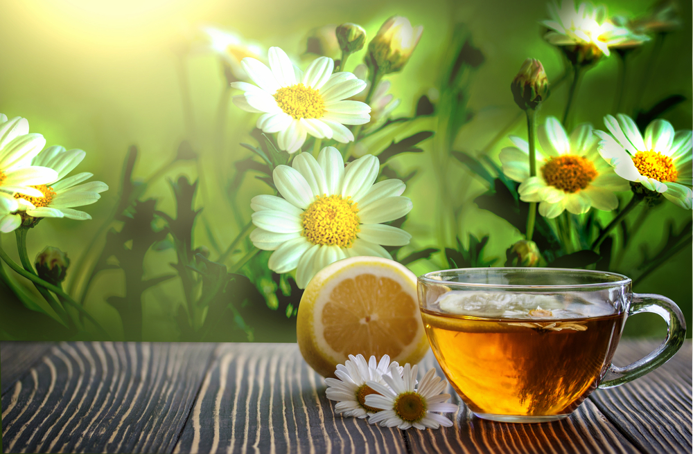 Top 7 Benefits of Drinking Chamomile Tea for Better Health
