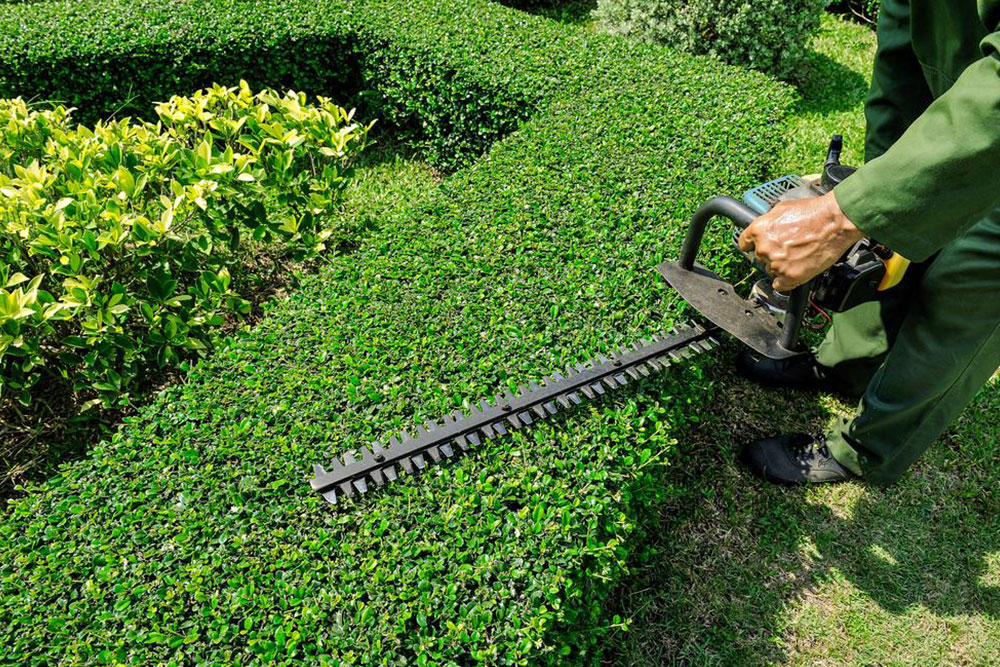 Top Garden Weed Trimmers for a Pristine Yard