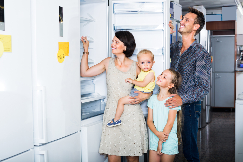Essential Guide to Choosing and Caring for Your Refrigerator