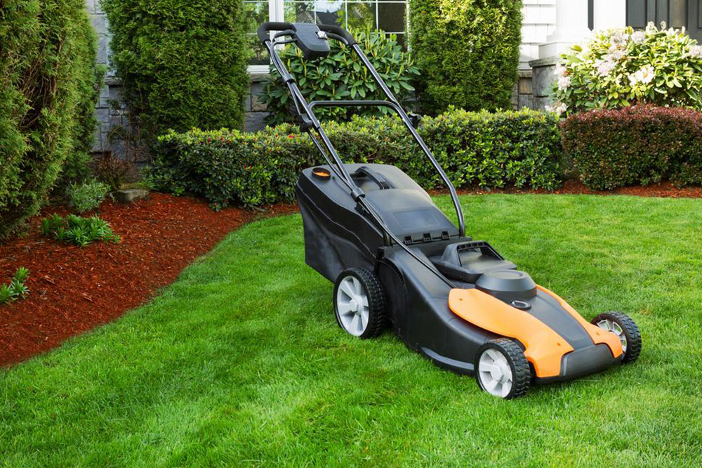 Essential Guide to Professional Lawn Maintenance and Care