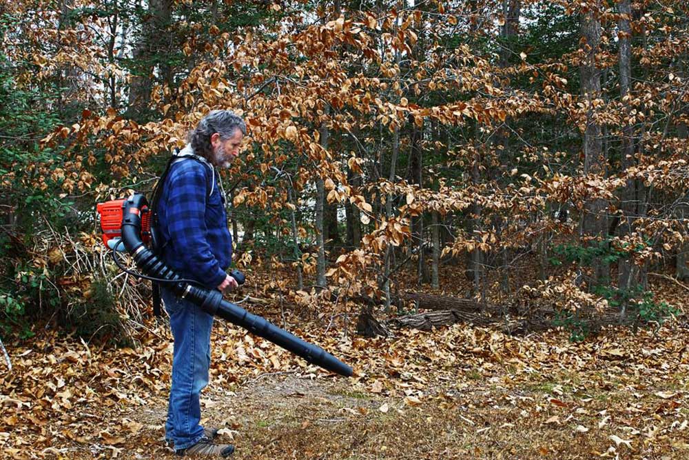 Comprehensive Guide to Different Types of Leaf Blowers