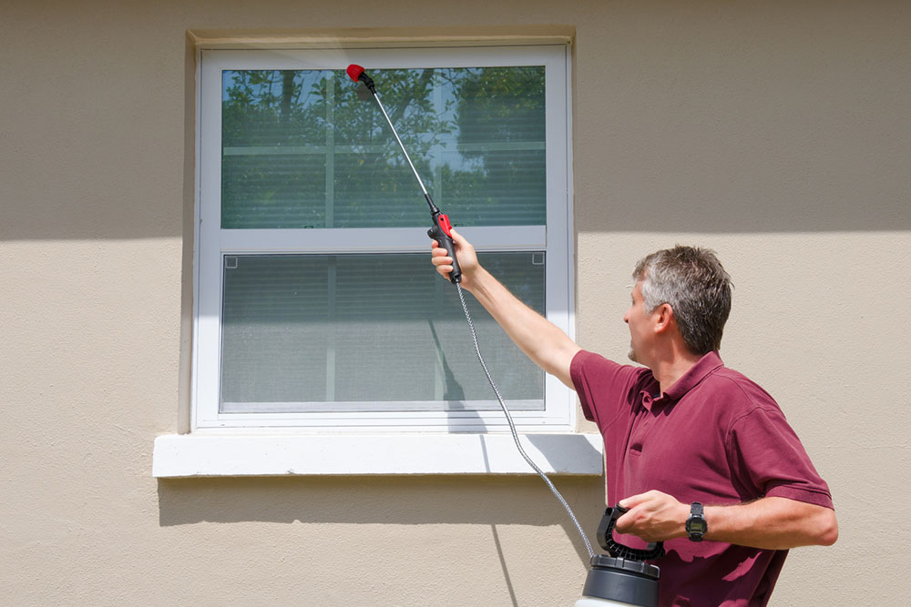 Effective Natural Solutions for Fire Ant Control