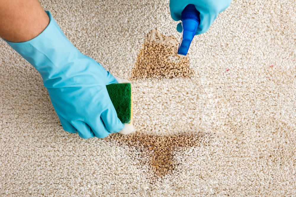 Effective Strategies to Keep Your Carpets Spotless