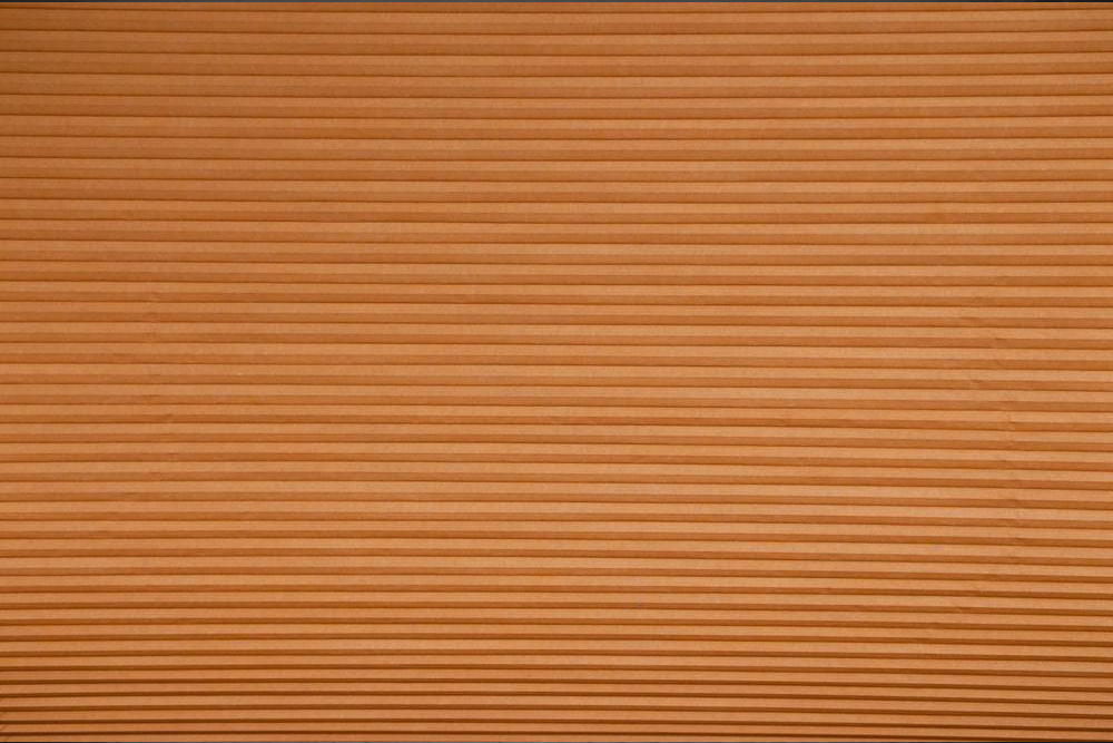 Everything You Need to Know About Honeycomb Window Shades