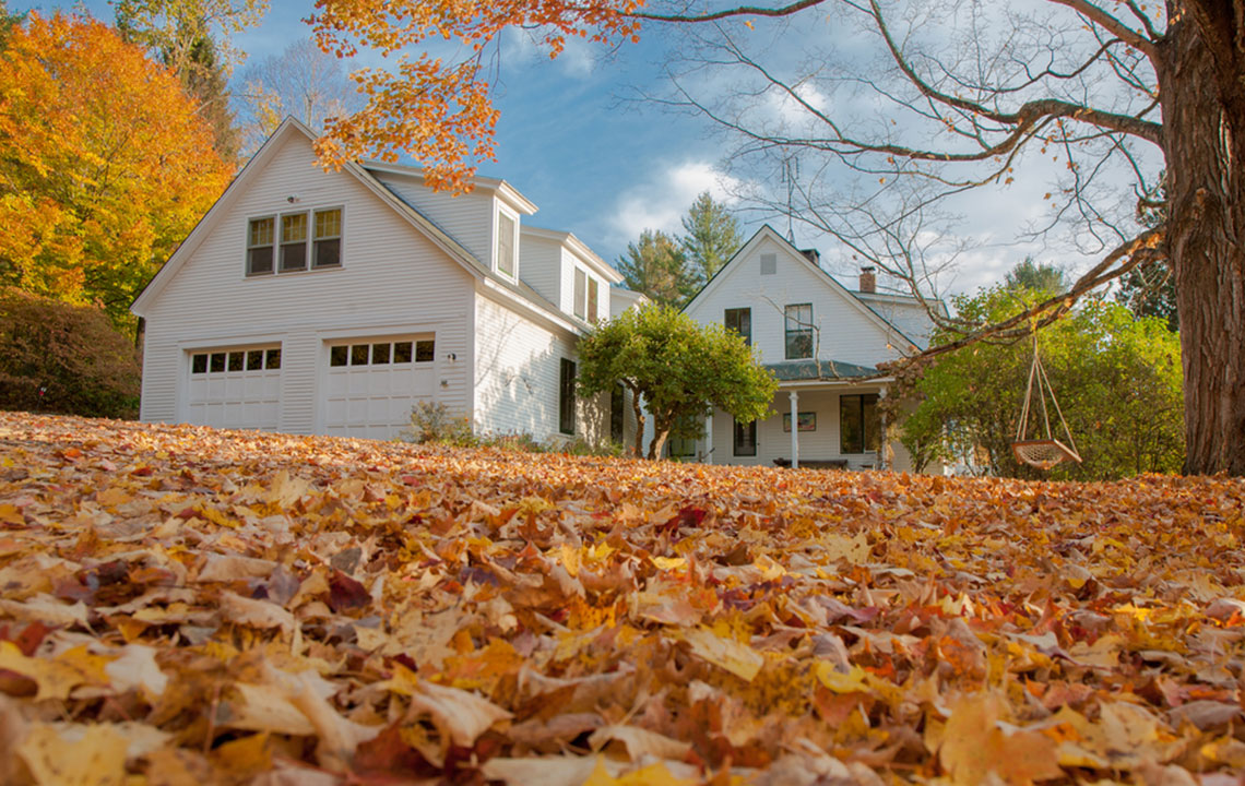 Essential Factors to Consider When Renting a Rural Home