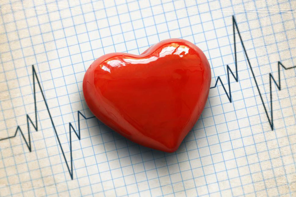 Understanding the Importance of Resting Heart Rate Charts