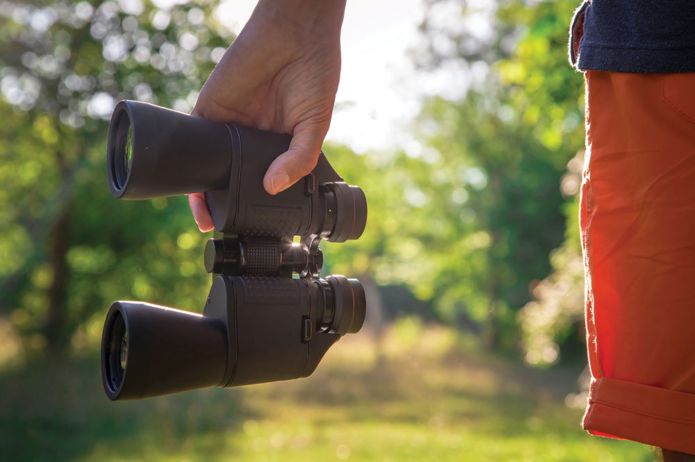 Top 3 Online Binoculars for Clear and Magnified Viewing