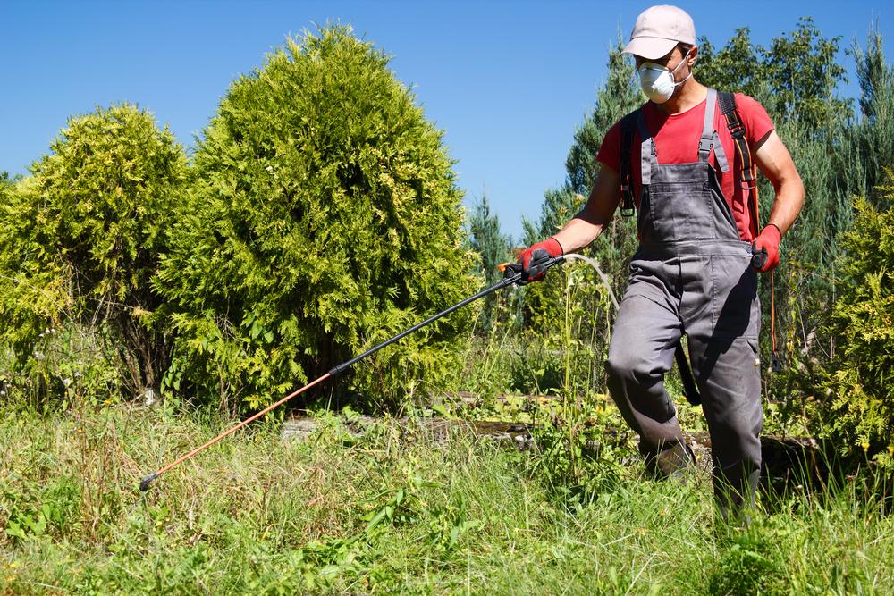Premium Workwear Solutions by Dickies
