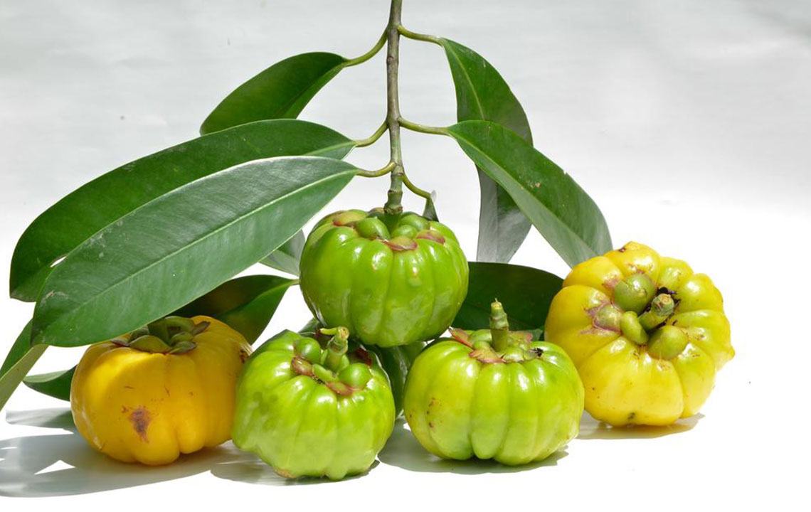 An In-Depth Overview of Garcinia Cambogia and Its Effects