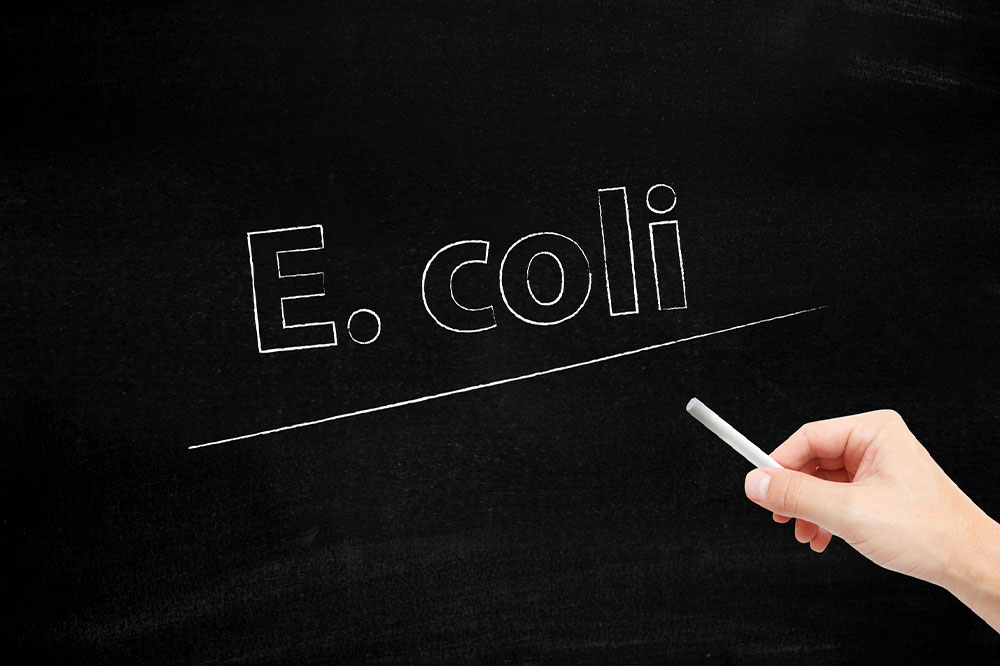 Understanding E. coli Infections and Urinary Tract Issues