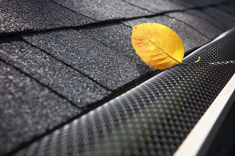 Top 4 Gutter Cover Options for 2021