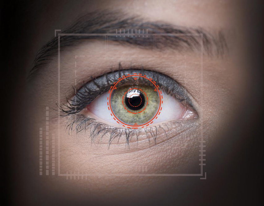 Understanding the Function of the Human Retina