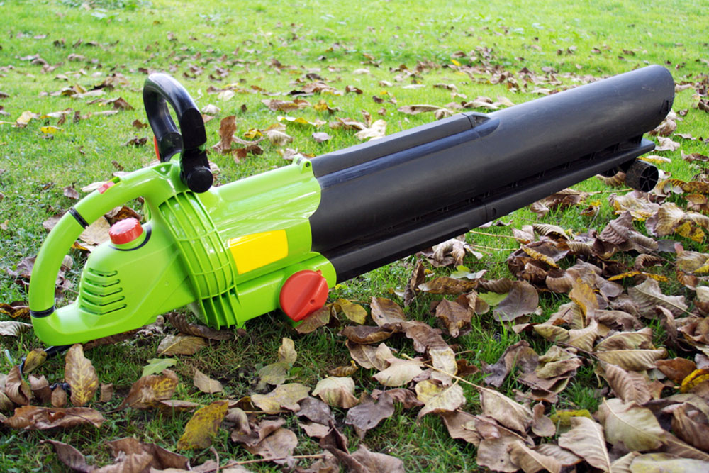 Comprehensive Guide to Choosing the Best Leaf Blower for Your Outdoor Cleaning Needs