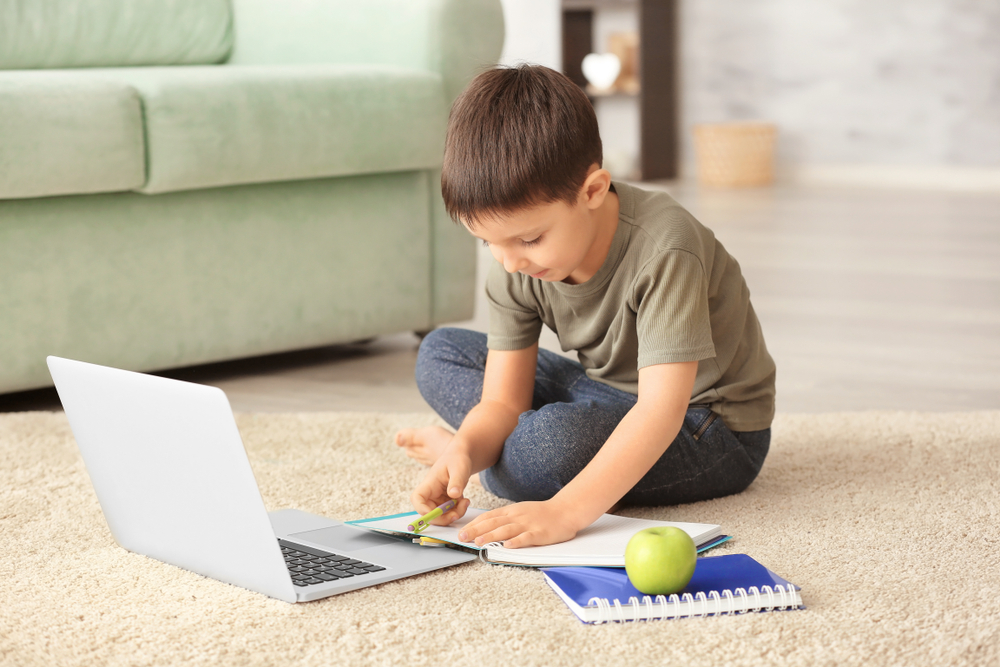 Pros and Cons of Virtual Schooling for Everyone