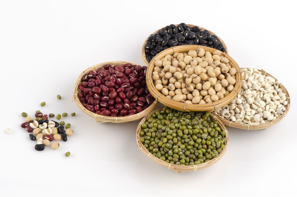Essential Foods for Strong and Healthy Bones