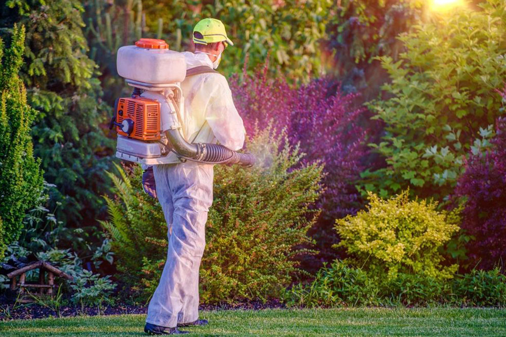 Effective Pest Management Solutions Across the United States