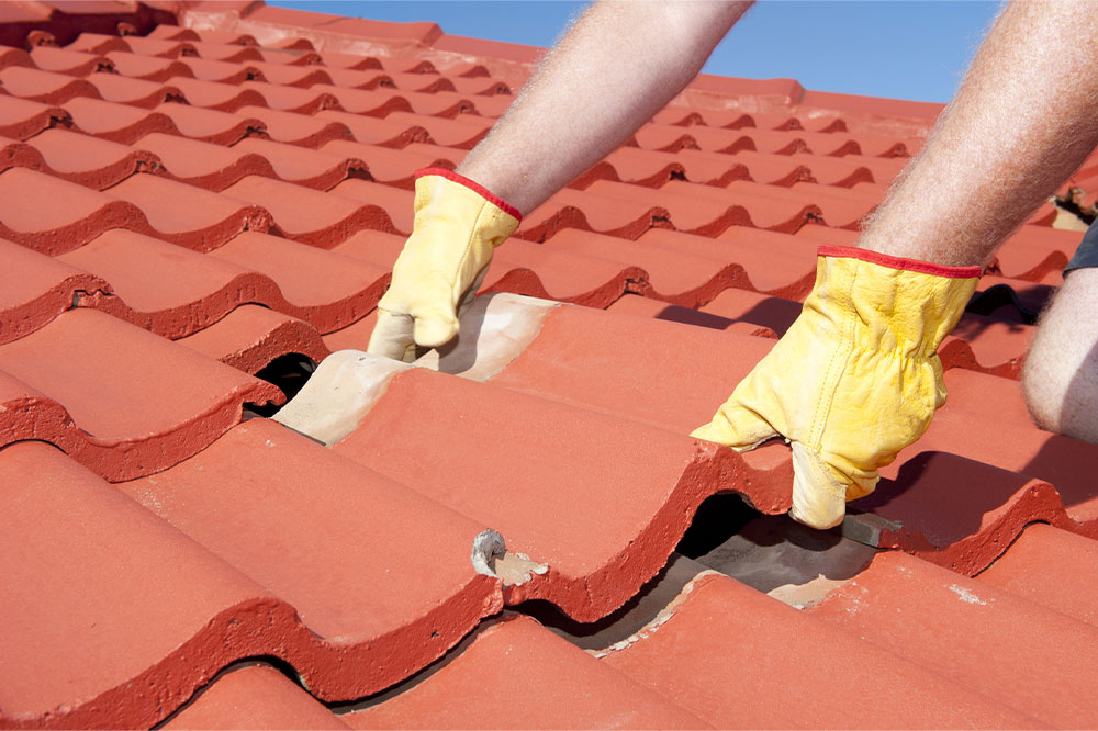Comprehensive Guide to Roofing: Types, Significance, and Tips