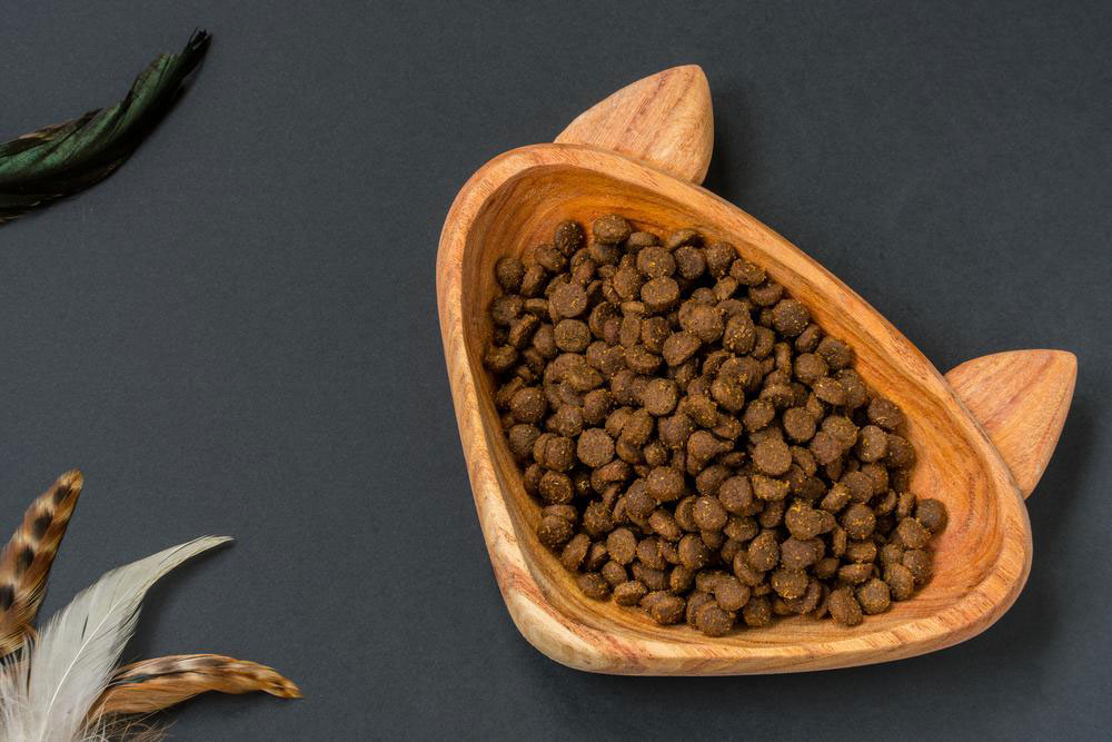 Top 3 Nutritious Canned Dog Foods for Your Pet