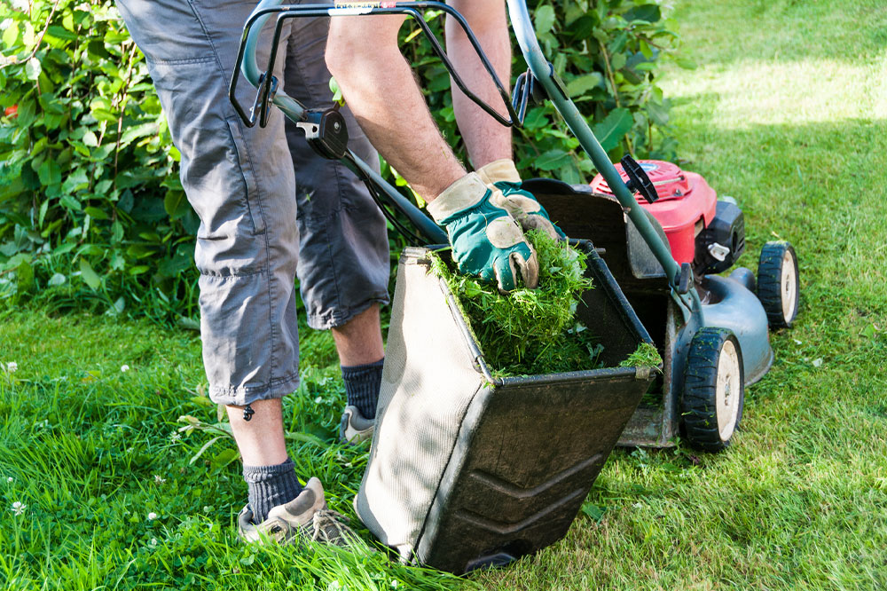 Essential Tips for Selecting the Right Lawn Care Provider