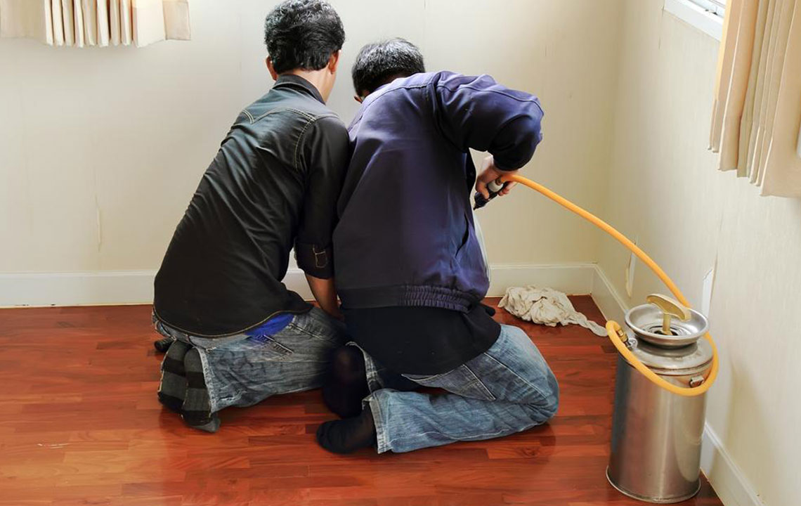 Effective Strategies to Eliminate Indoor Fleas