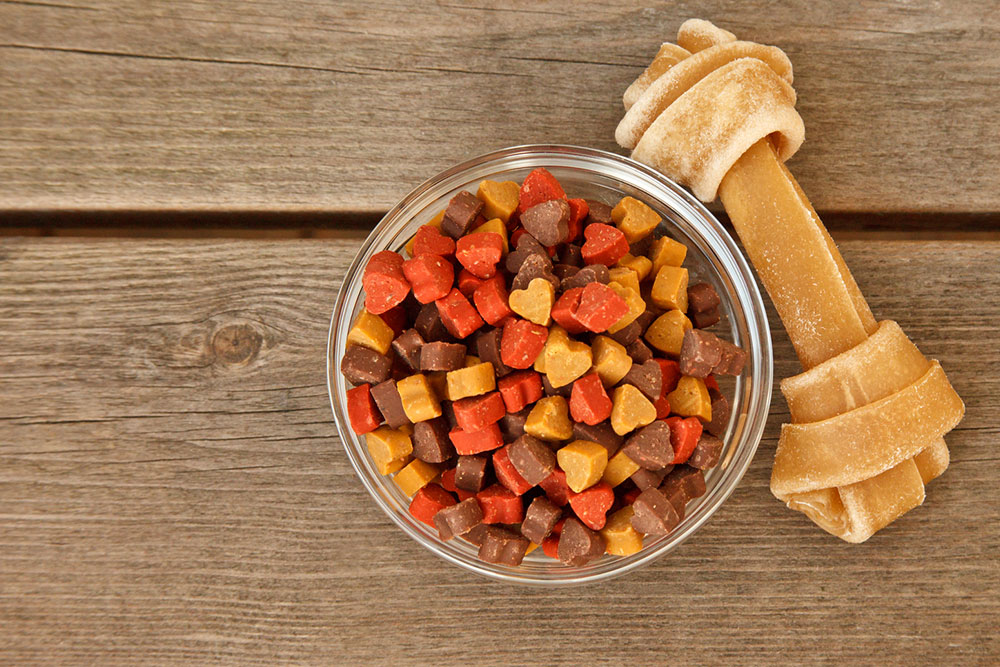 Comprehensive Guide to Key Ingredients in Dry Dog Food and Their Impact on Pet Health