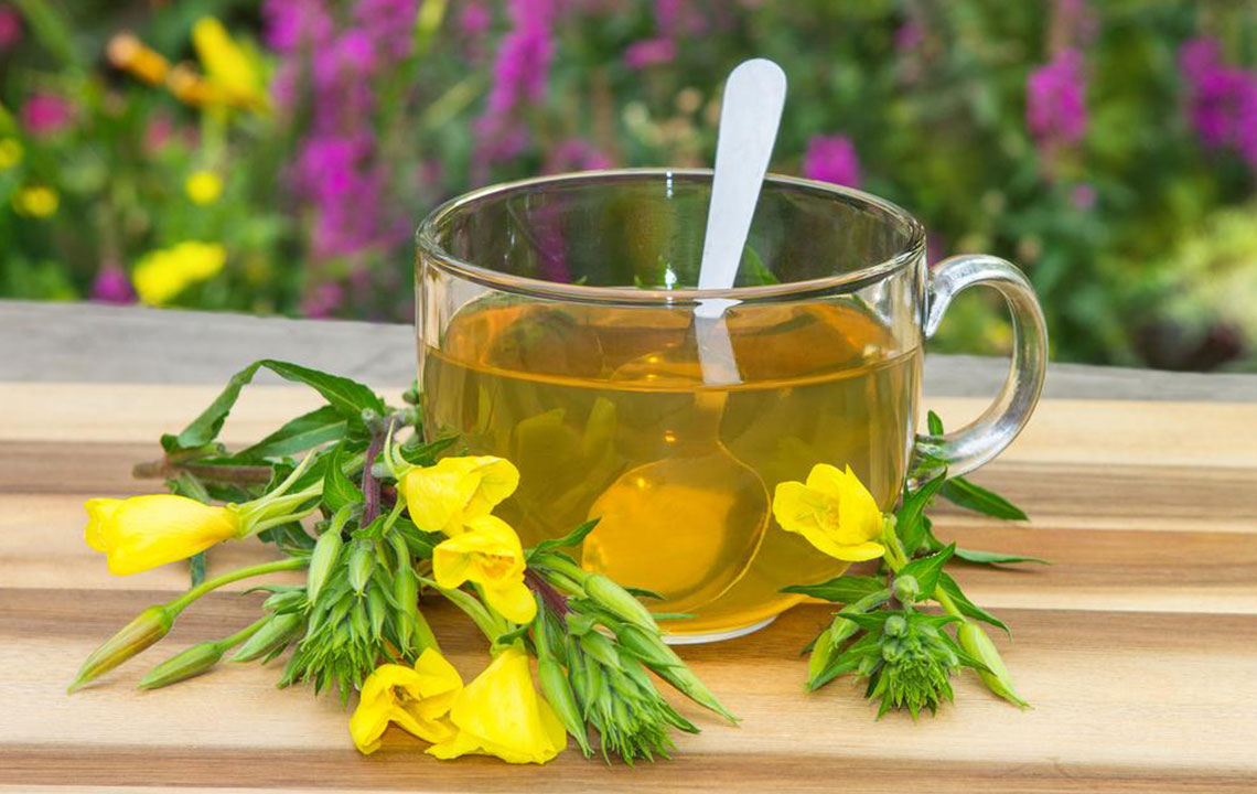 Top Natural Treatments for Ear Infections You Can Try at Home