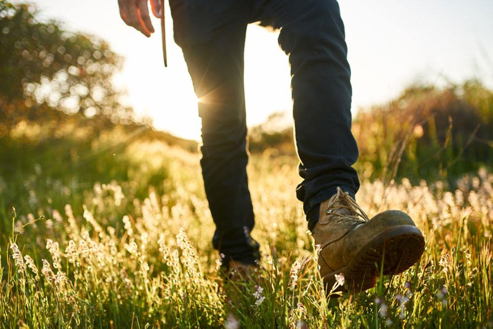 Top 3 Classic Red Wing Boots for Timeless Style and Durability