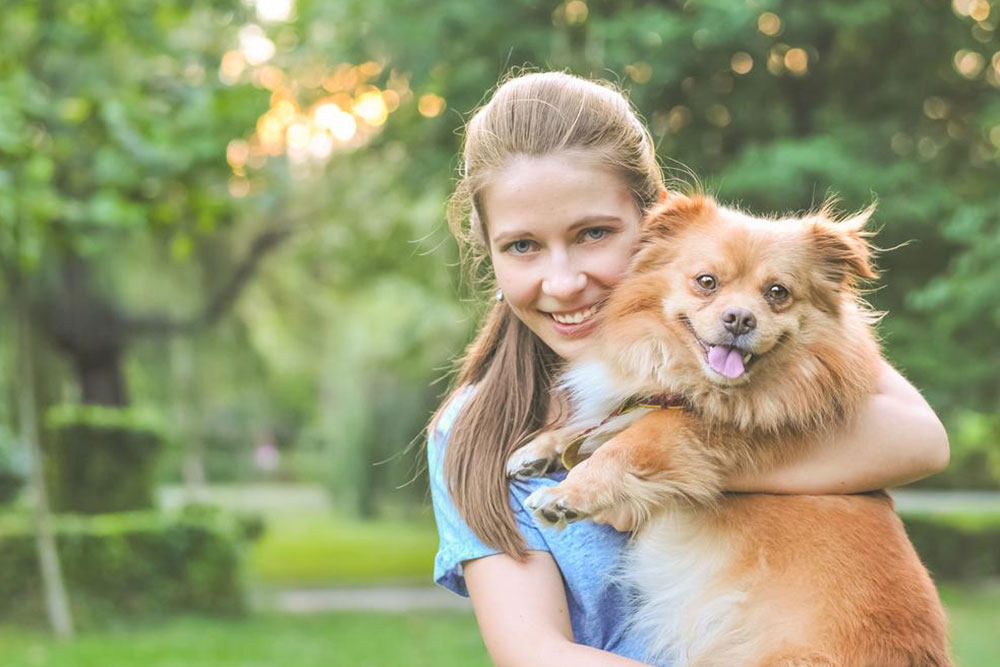 Key Preparations Before Bringing a Dog Home