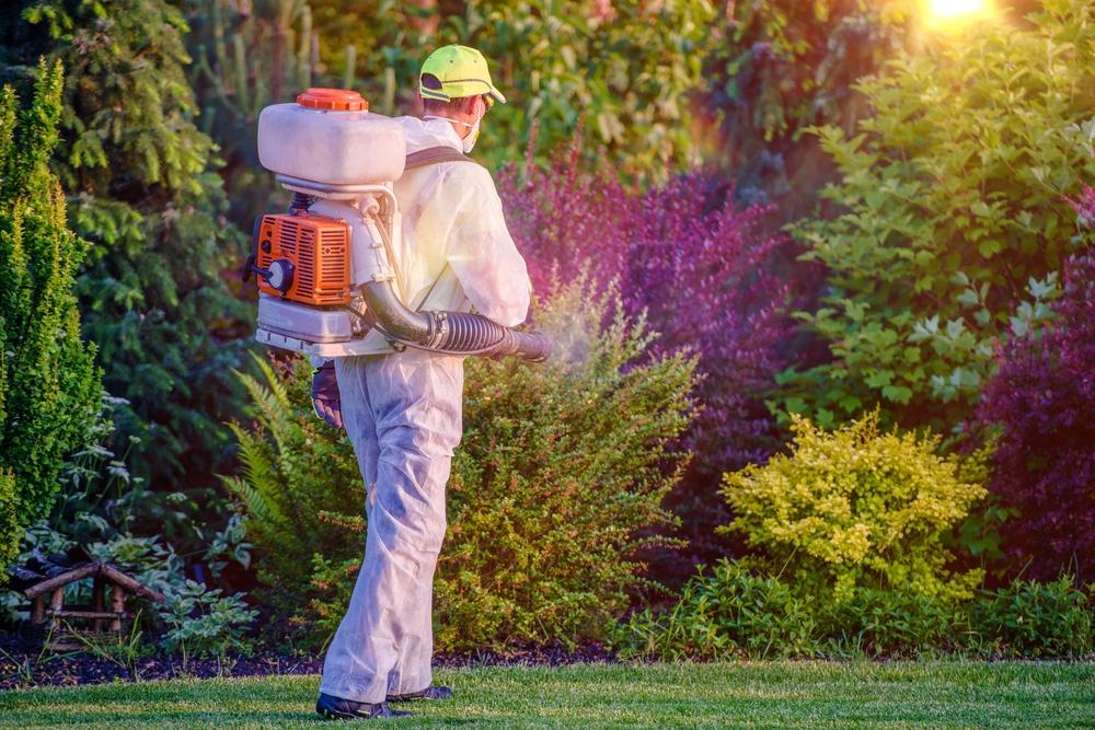History and Progress of Pest Management Techniques
