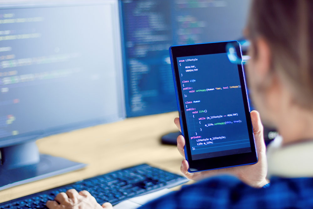 Beginner's Guide to Scripting: Essential Insights