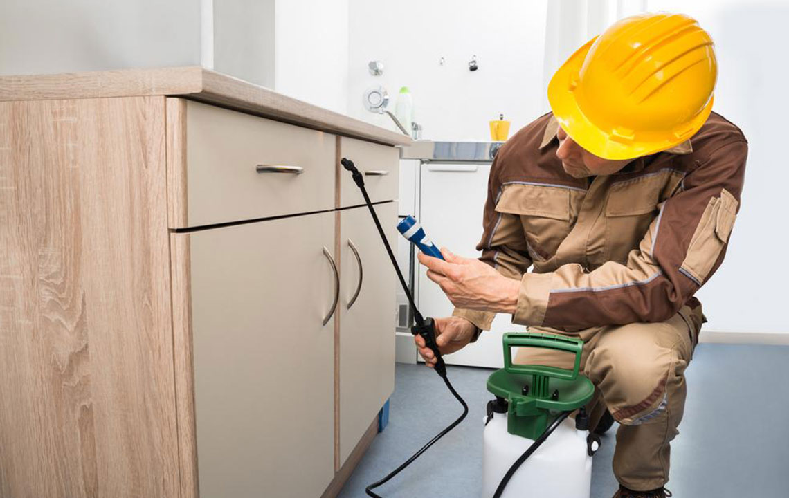 Comprehensive Guide to Controlling and Preventing Rodent Infestations in Your Home