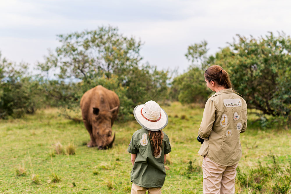 Discovering the Wonders of the Masai Mara: An Ultimate Safari Adventure
