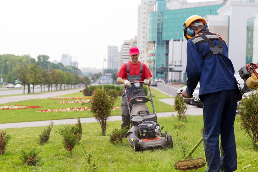 Essential Guide to the Top 5 Lawn Edgers for a Picture-Perfect Garden