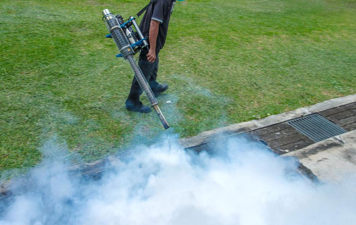 Effective Strategies for Mosquito Management
