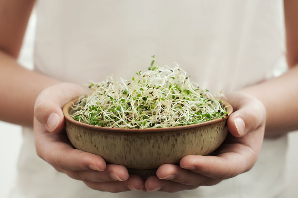 Diet Tips: Foods to Include and Avoid for Managing Lupus